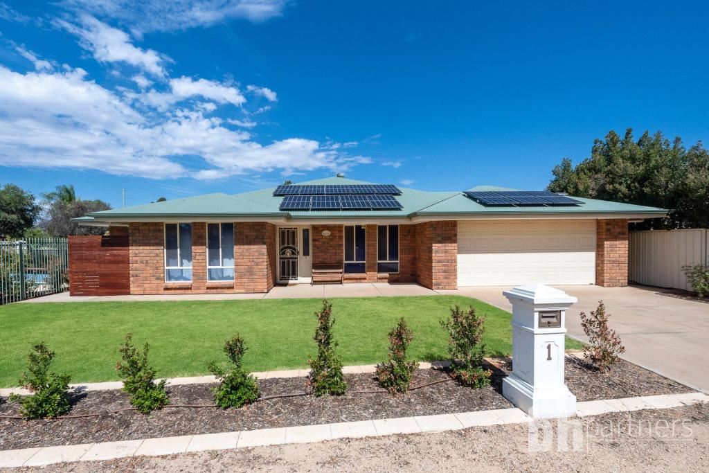 1 Huckstepp Ct, Berri, SA 5343