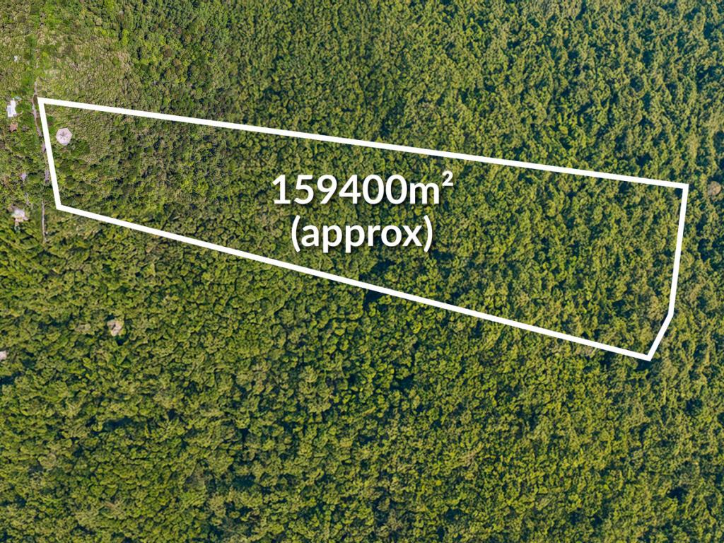 312 Repeater Station Rd, Springbrook, QLD 4213