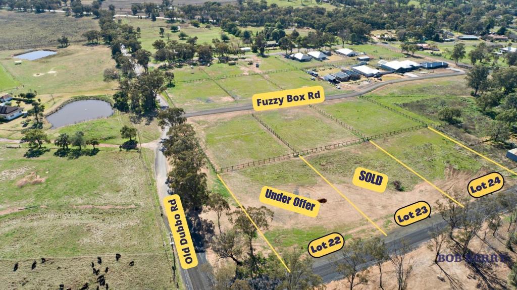 51 Old Dubbo Rd, Geurie, NSW 2818