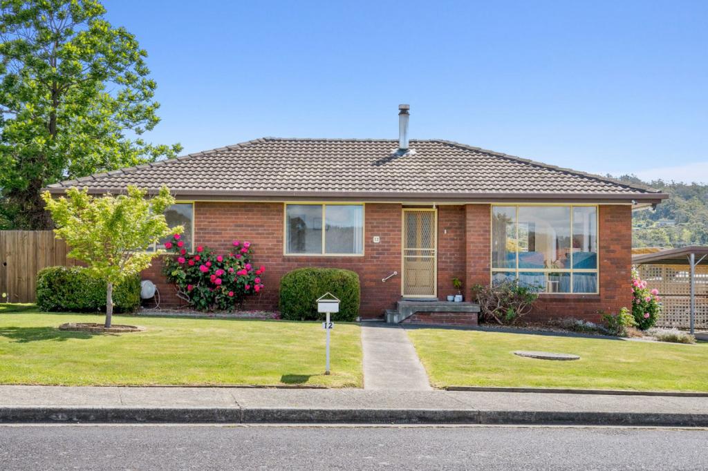 12 Riverdowns Dr, Margate, TAS 7054