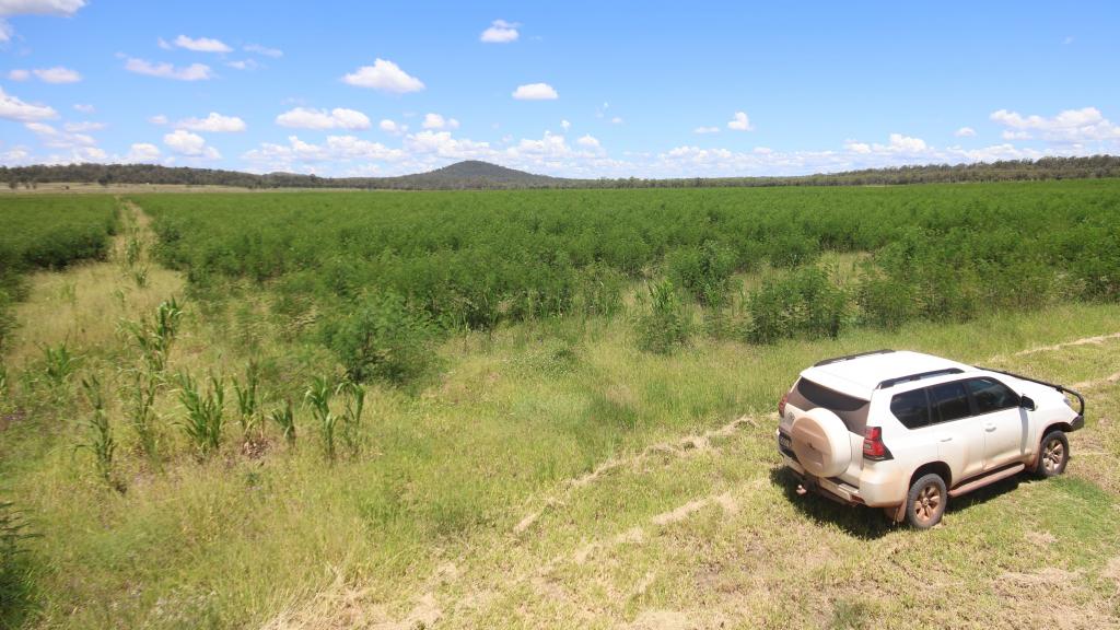 Lot 55 & 79 Burnett Hwy, Eidsvold, QLD 4627