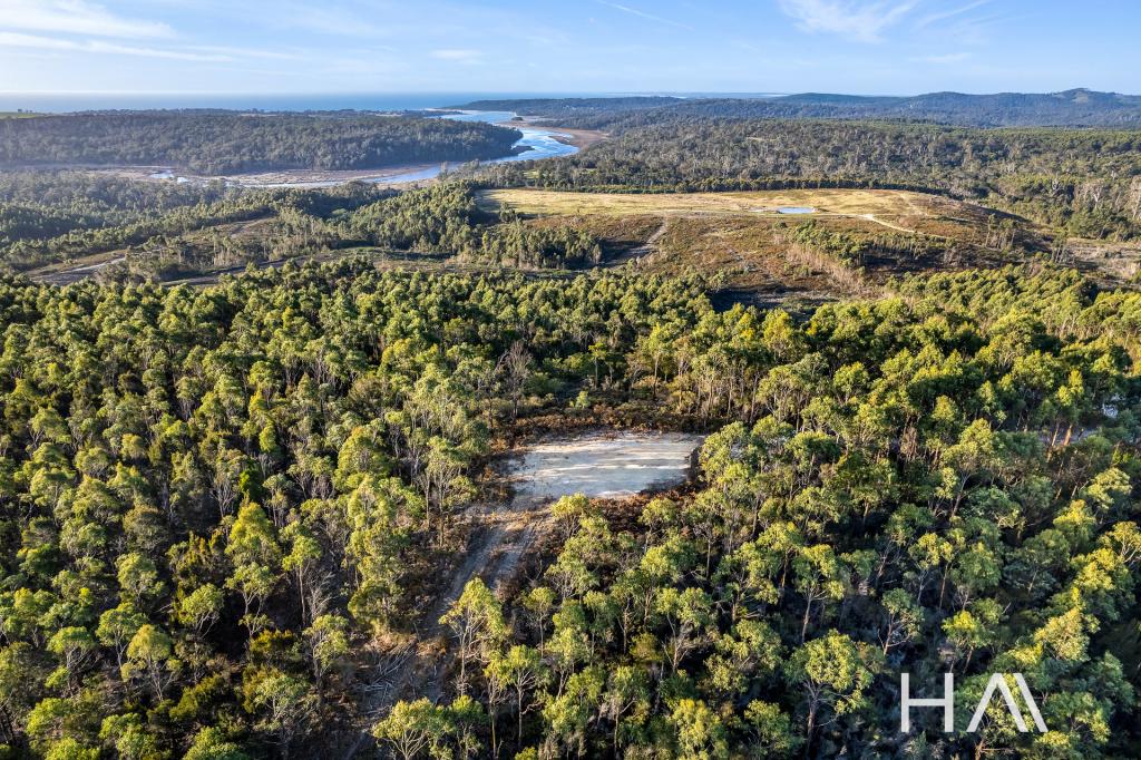  Red Rd, Pipers River, TAS 7252