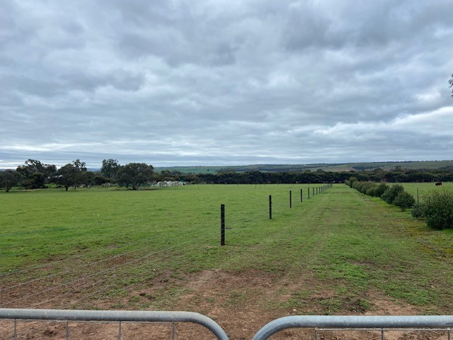 Allotment 4 Jaensch Rd, Callington, SA 5254