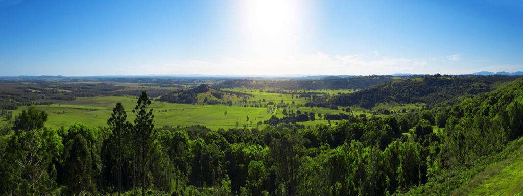 Contact Agent For Address, Dalwood, NSW 2477