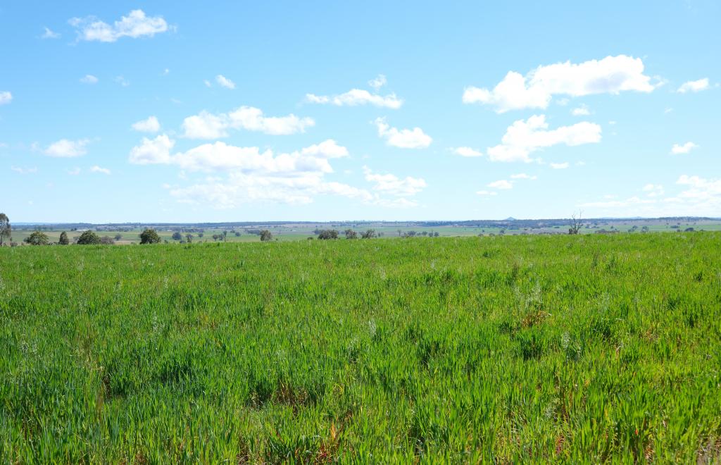 154 Delungra Bypass Rd, Inverell, NSW 2360