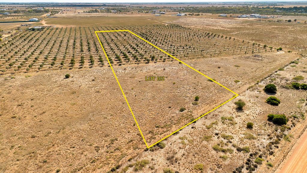 Lot 102 Schutt Rd, Dublin, SA 5501