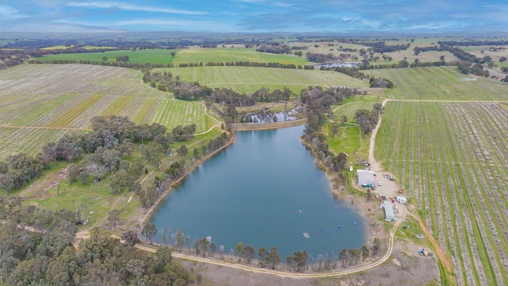 'Ellerslee Orchard' Olympic Highway & Racecreek Road Wombat Via, Young, NSW 2594