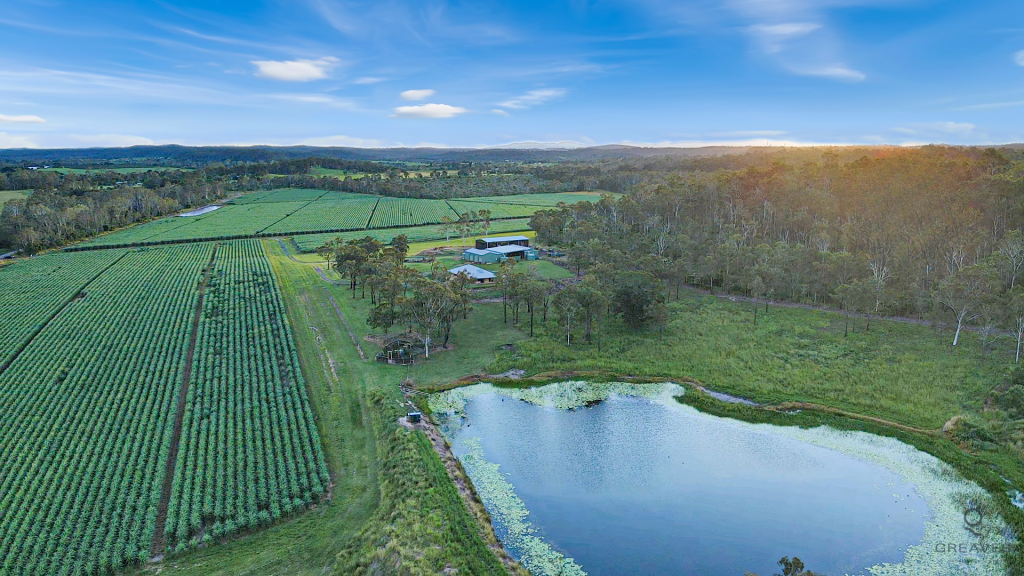 216 Snake Creek Rd, Bungadoo, QLD 4671