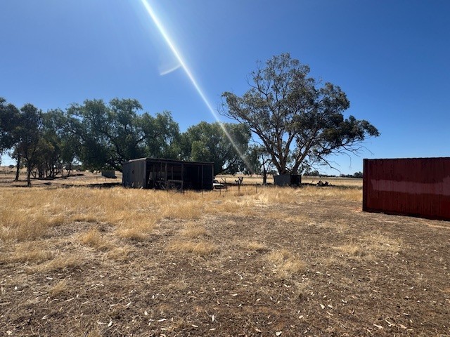 43 Doggerts Lane, Wedderburn, VIC 3518