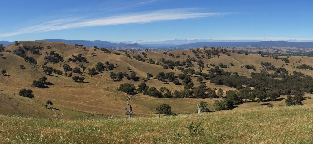 53 Halls Outlet Rd, Alexandra, VIC 3714