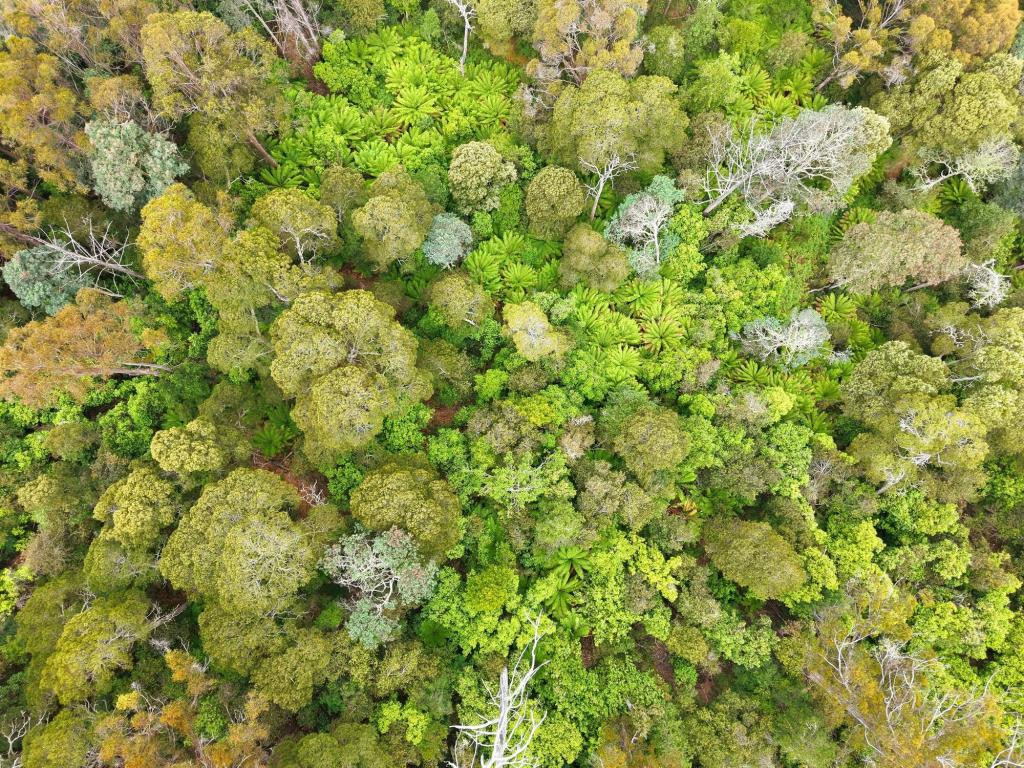 107 Wielangta Rd, Kellevie, TAS 7176