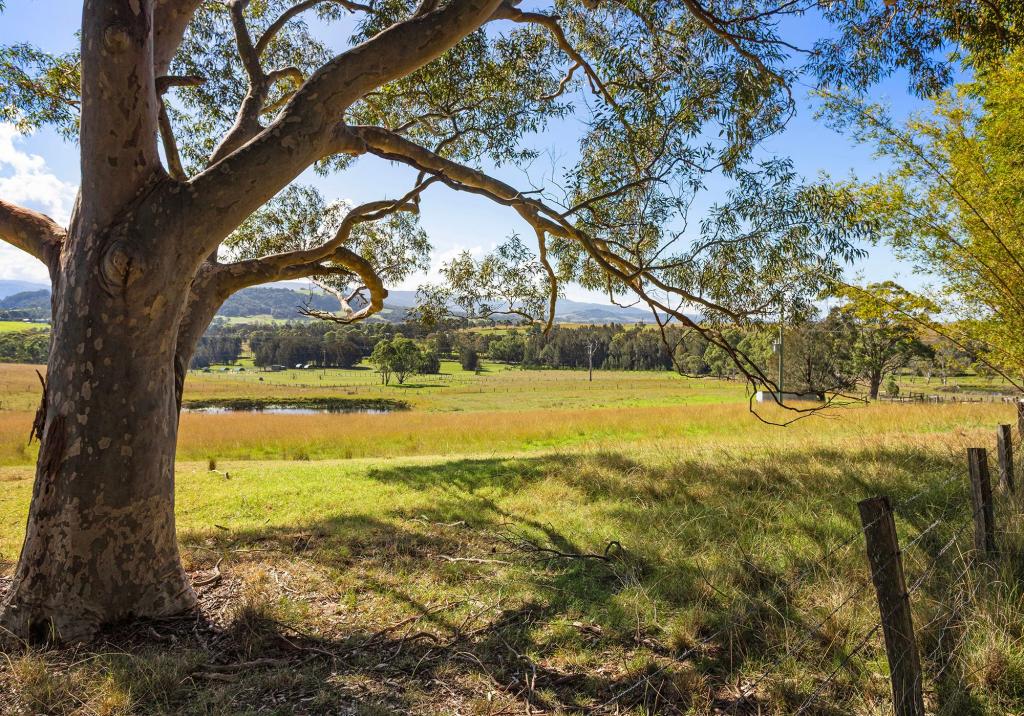 201 Coolangatta Rd, Far Meadow, NSW 2535