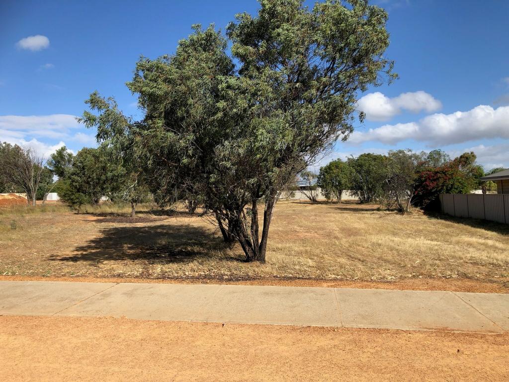 23 BOWEN ST, GOOMALLING, WA 6460