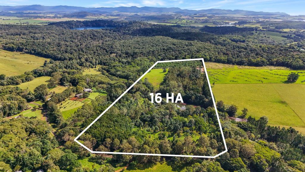 239 Winfield Rd, Lake Eacham, QLD 4884