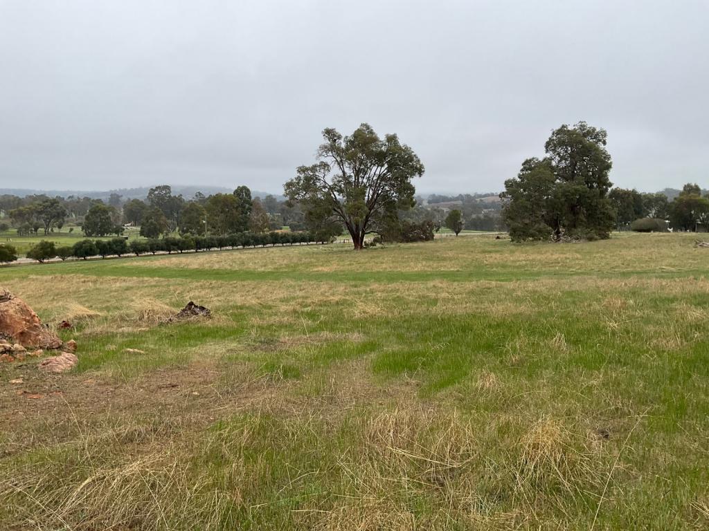 13 DAYS RD, BODDINGTON, WA 6390