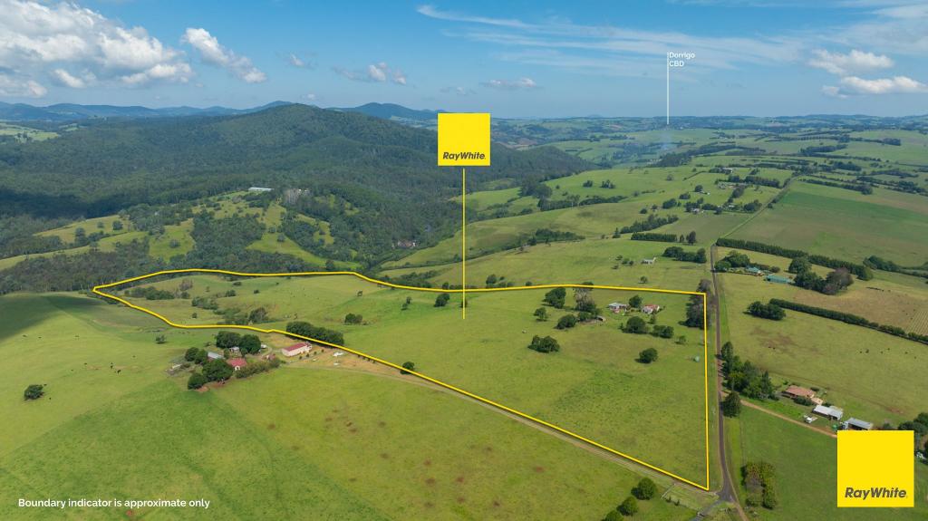 262 SNOWS RD, NORTH DORRIGO, NSW 2453