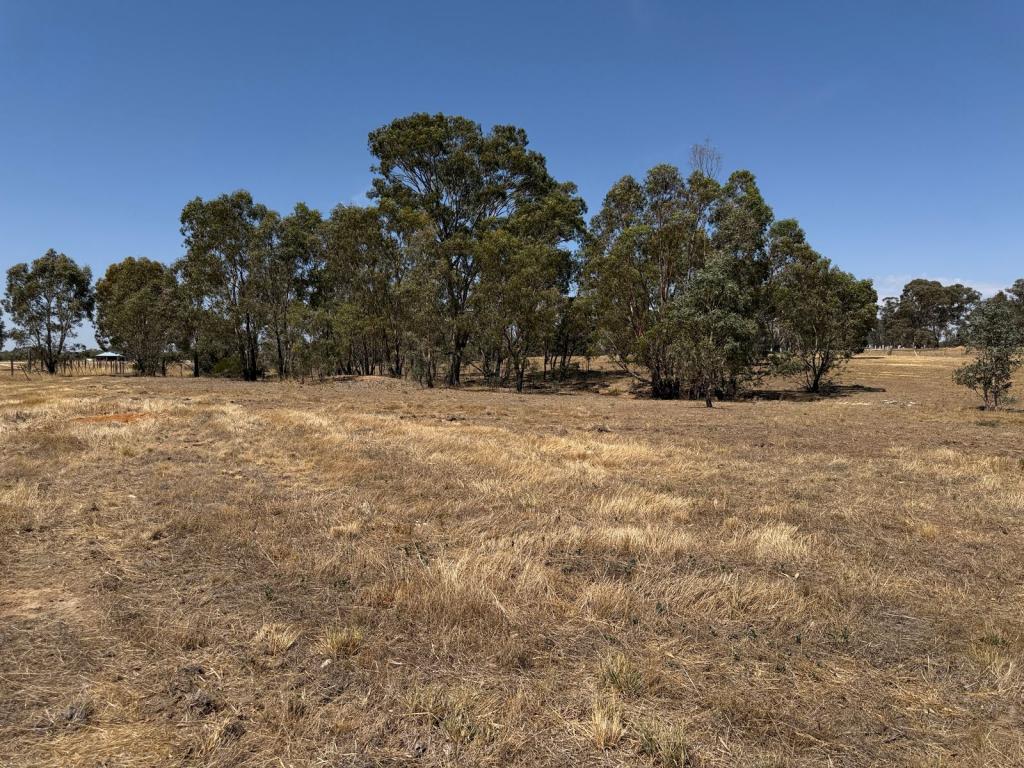 20 DU BOURG RD, BOWENVALE, VIC 3465