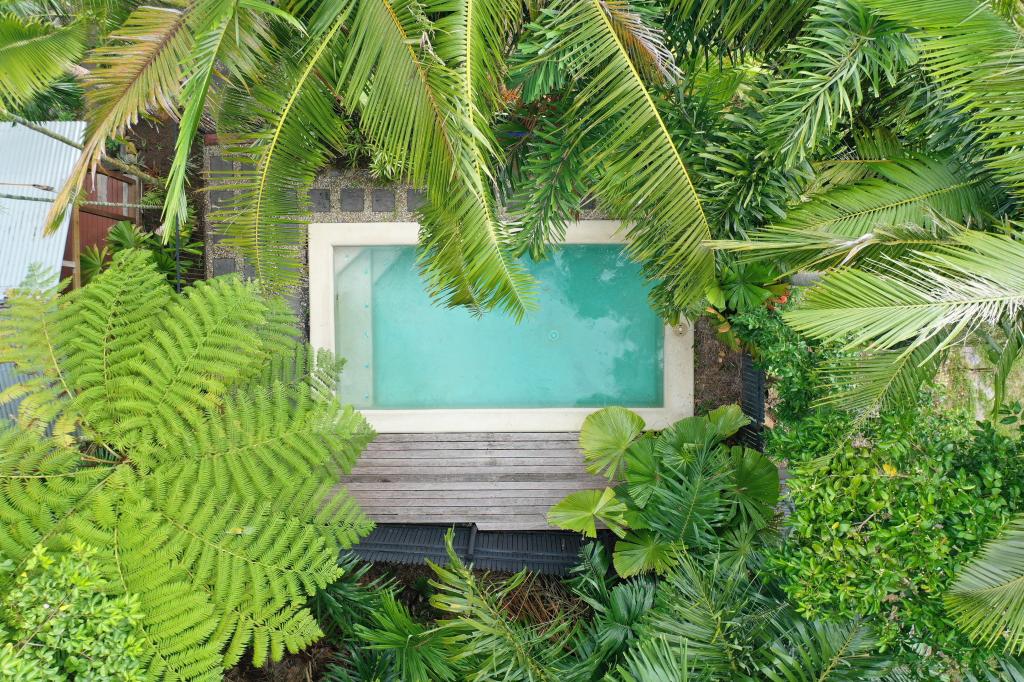 31 Conch St, Mission Beach, QLD 4852