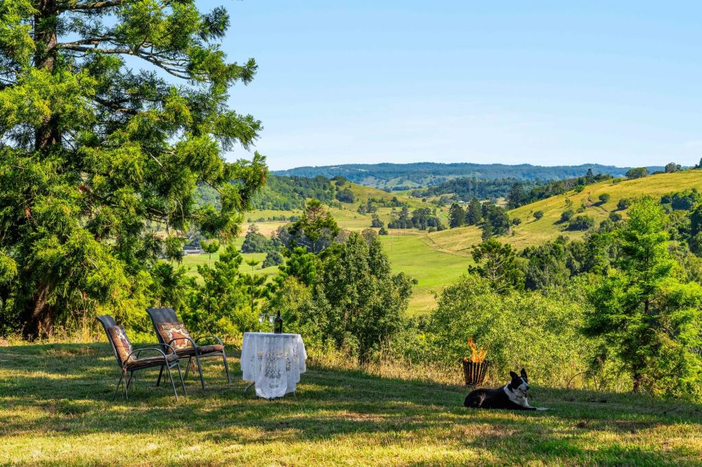 222 Hewitt Rd, Booerie Creek, NSW 2480