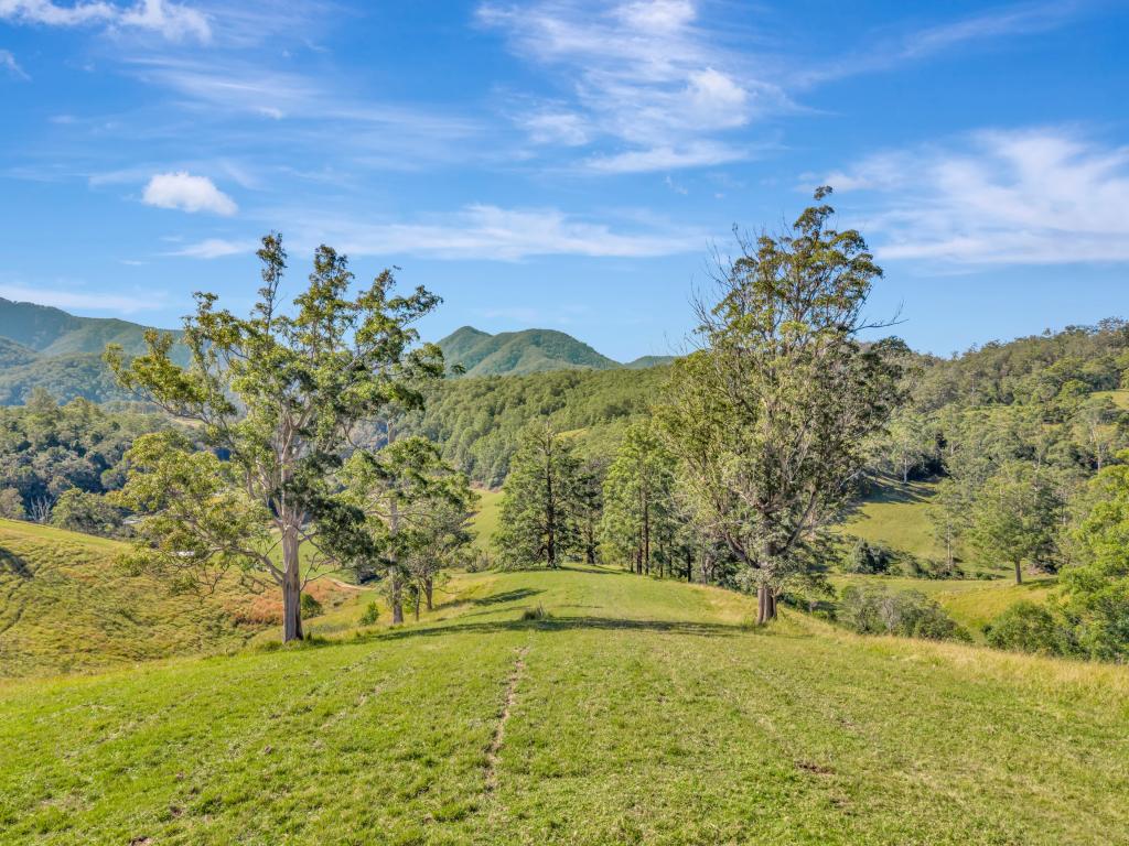 81 KESTREL RD, BURRAPINE, NSW 2447
