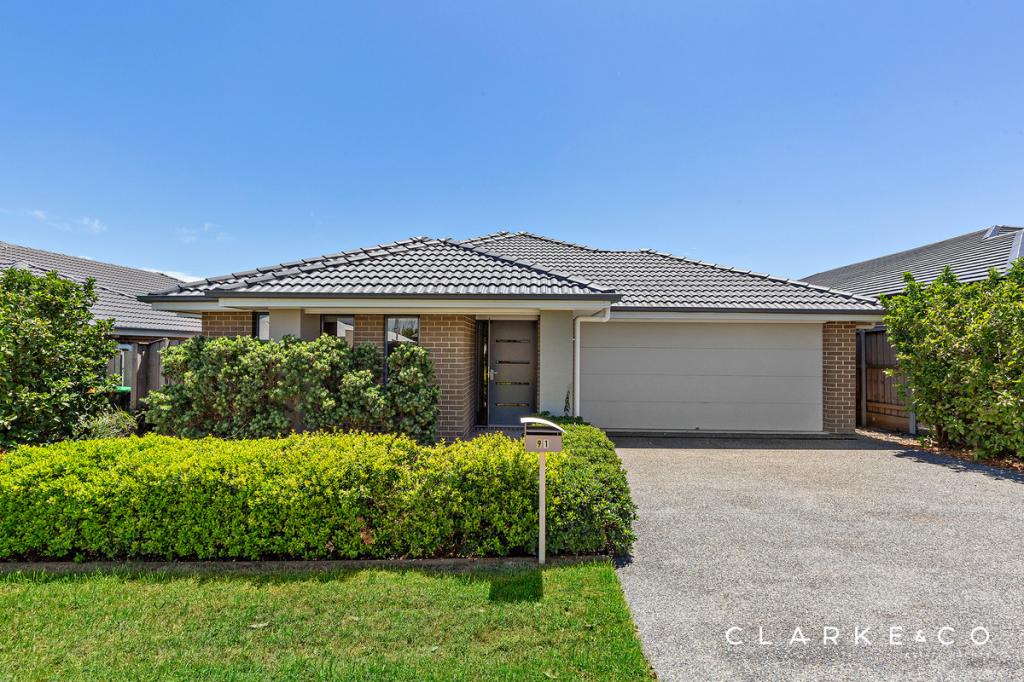 91 Dragonfly Dr, Chisholm, NSW 2322
