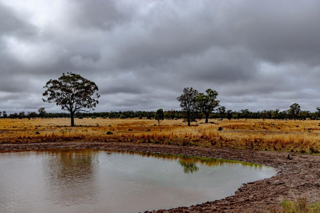 'Tralee' Collingwood Lane, Parkes, NSW 2870