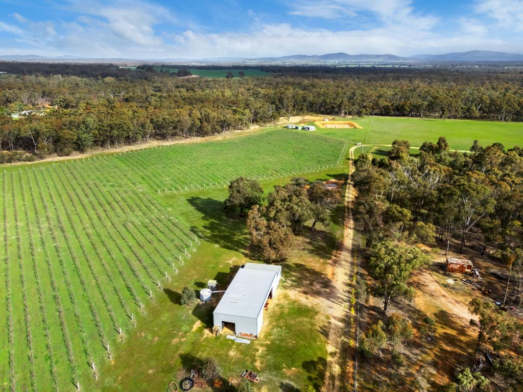 20 Morris Lane, Avoca, VIC 3467