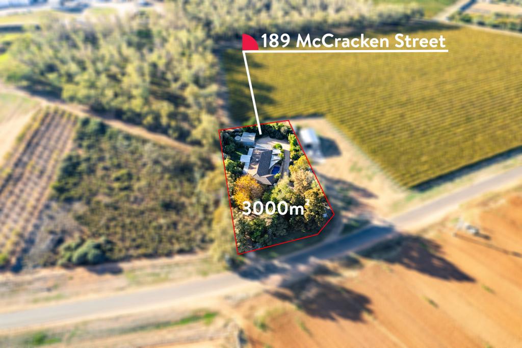 189 Mccracken St, Irymple, VIC 3498