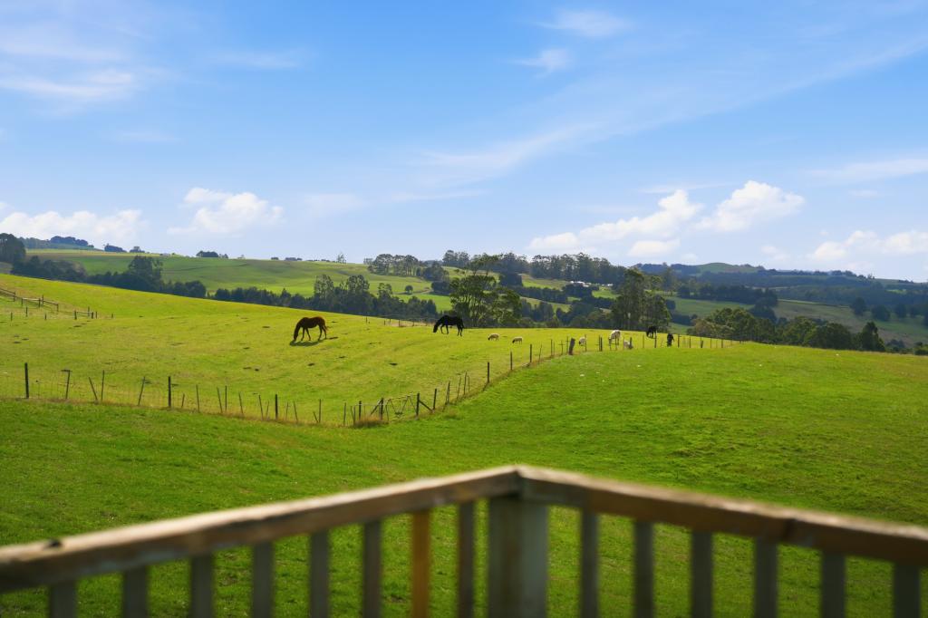 12 Shepperds Lane, Elliott, TAS 7325