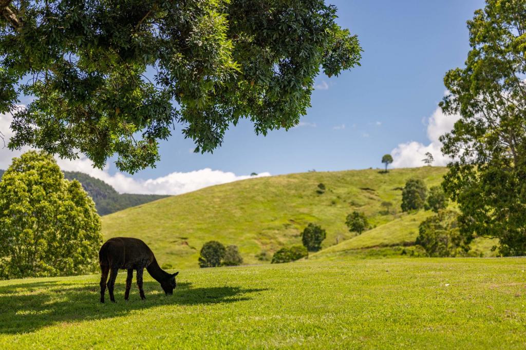 Contact agent for address, MOUNT DELANEY, QLD 4514