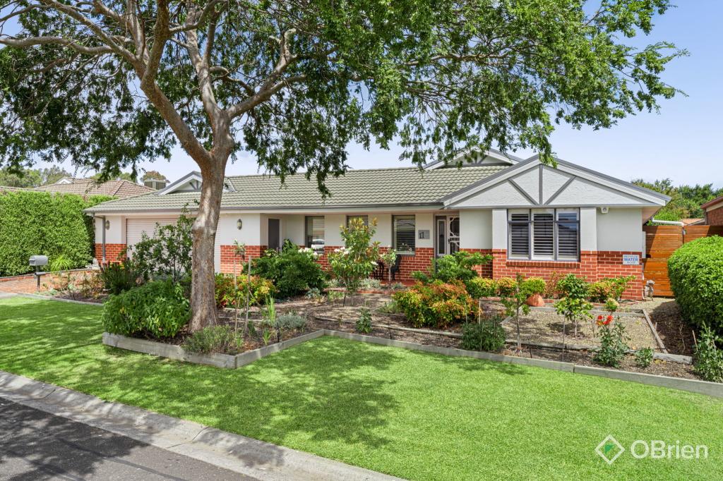 11 WARWICK CT, BERWICK, VIC 3806