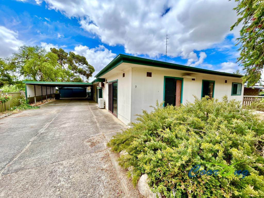 7 Peake Tce, Coonalpyn, SA 5265