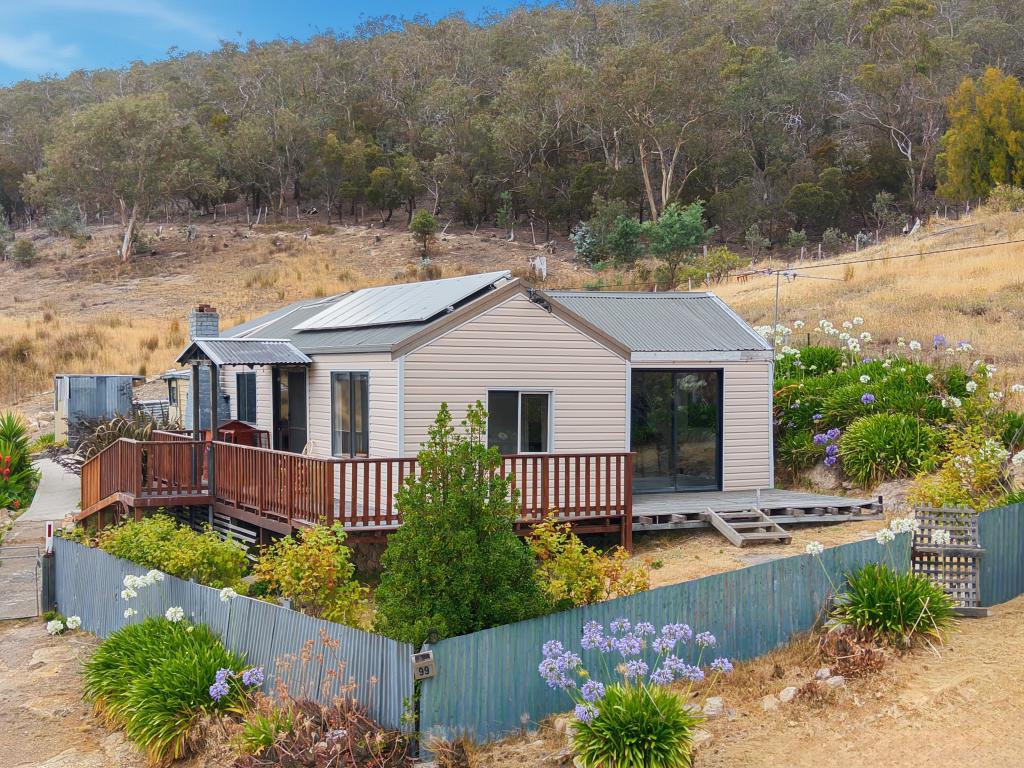 99 Downhamstown Rd, Grasstree Hill, TAS 7017