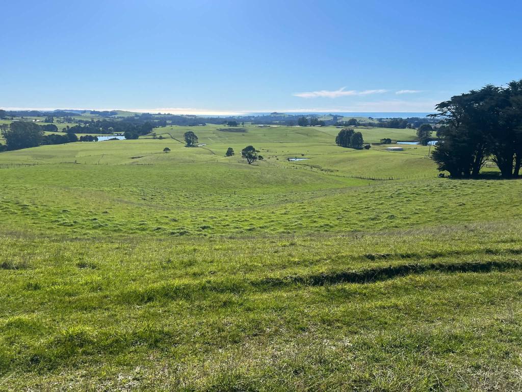 1373 Mount Hicks Rd, Mount Hicks, TAS 7325
