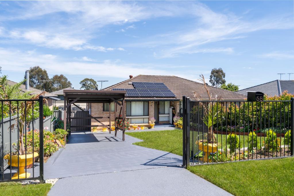 58 Fenton Cres, Minto, NSW 2566