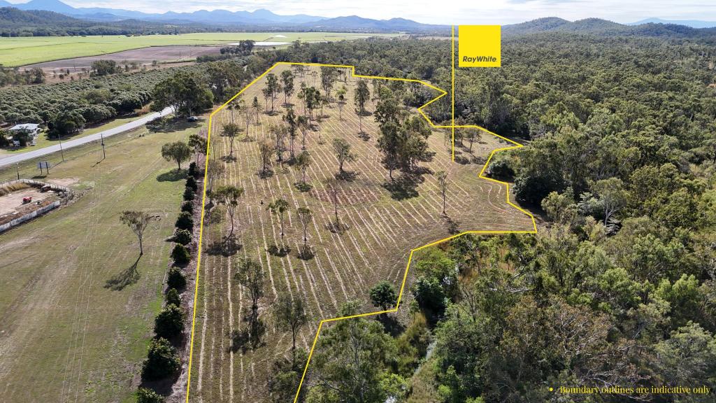 Contact Agent For Address, Bloomsbury, QLD 4799