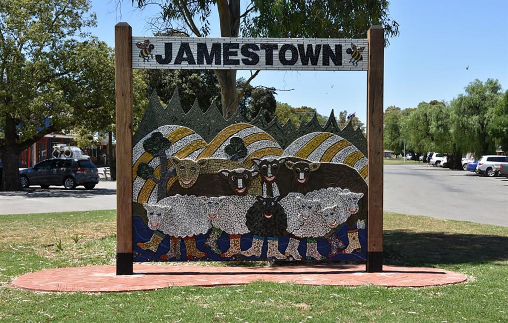 3 WOLFE ST, JAMESTOWN, SA 5491