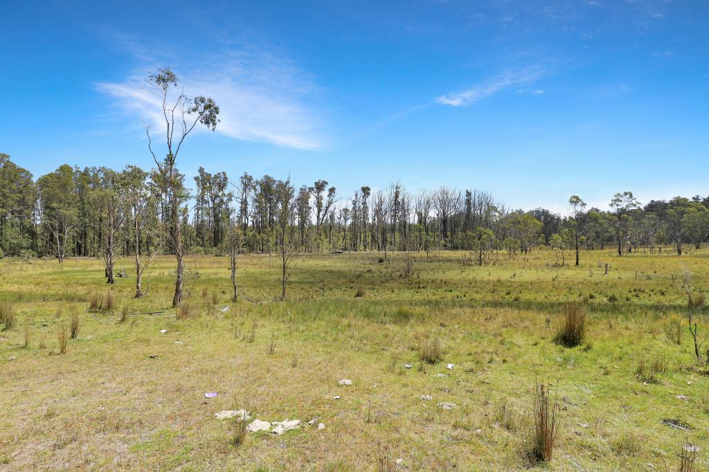 LOT 51 TANTAWANGALO MOUNTAIN RD, CATHCART, NSW 2632