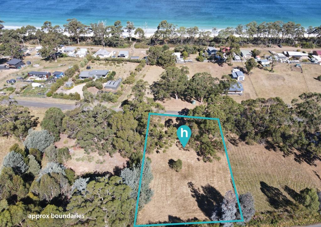 21 Dunn Dr, Surveyors Bay, TAS 7116