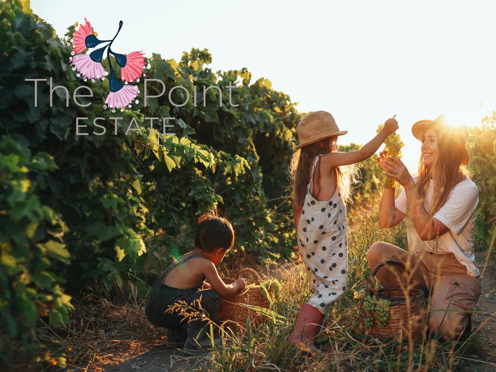 Lot 22 155-159 Koorlong Avenue (The Point Estate), Nichols Point, VIC 3501