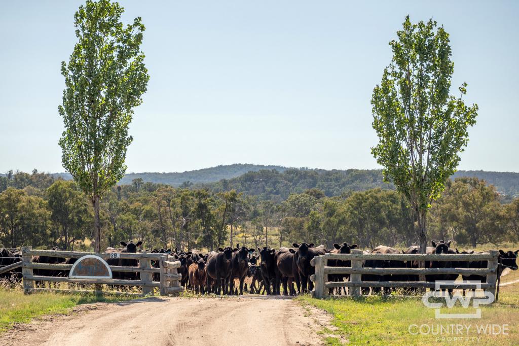 391 Carrot Farm Rd, Deepwater, NSW 2371