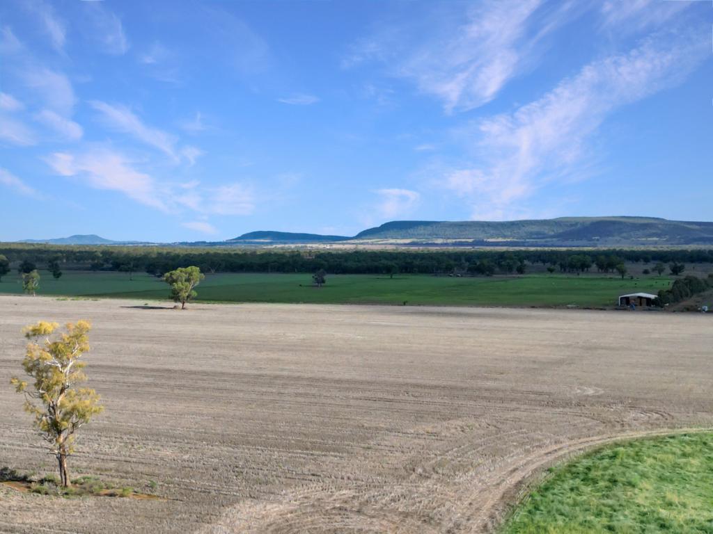 8354 Kamilaroi Hwy, Curlewis, NSW 2381