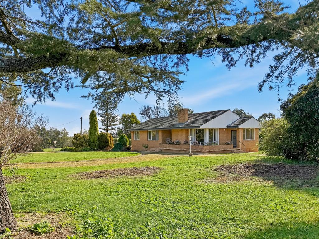 529 Olympic Hwy, Young, NSW 2594
