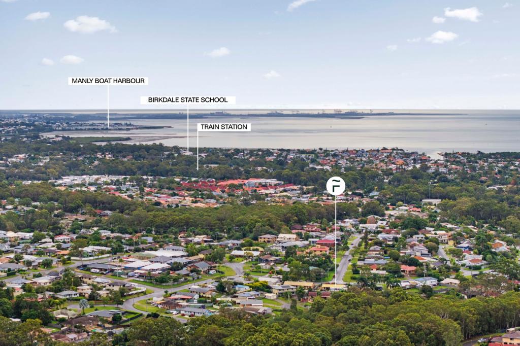 15 Spoonbill St, Birkdale, QLD 4159