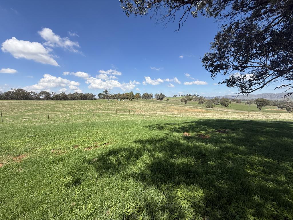 Lot 172 & 173 Reynolds Lane, Binalong, NSW 2584