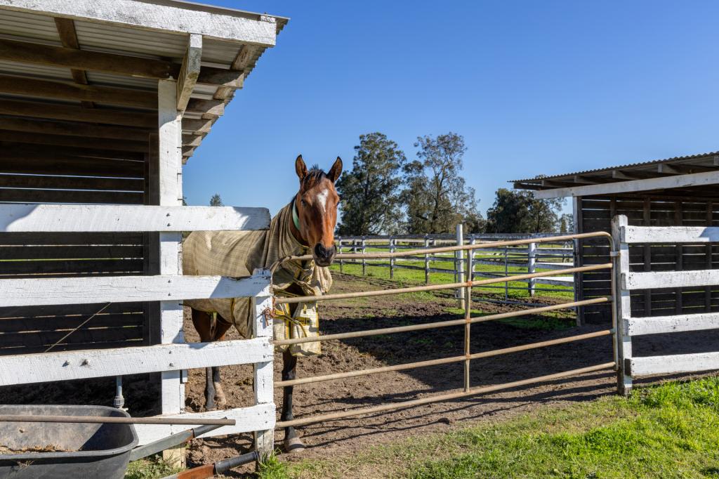129 Newline Rd, Raymond Terrace, NSW 2324