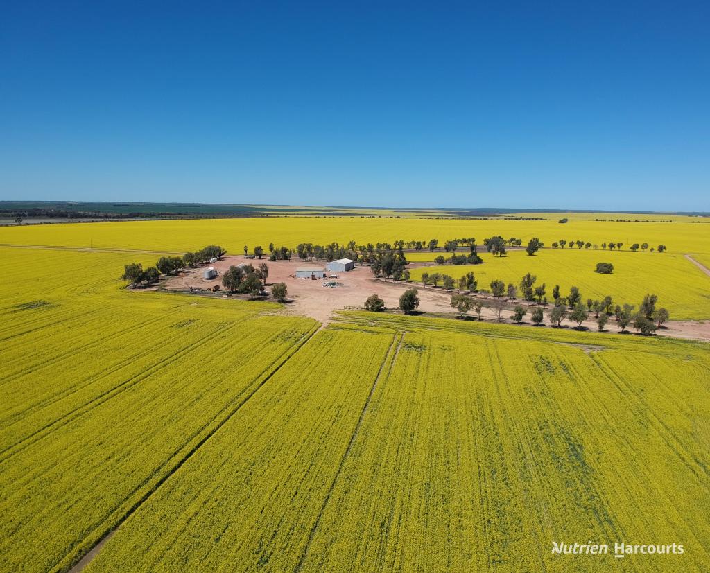 235 Telegraph Rd, West Binnu, WA 6532