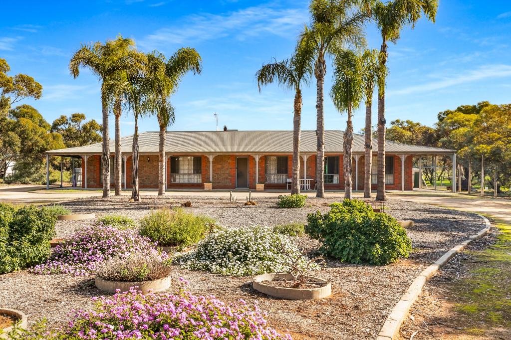 94 Caddy Rd, Barmera, SA 5345