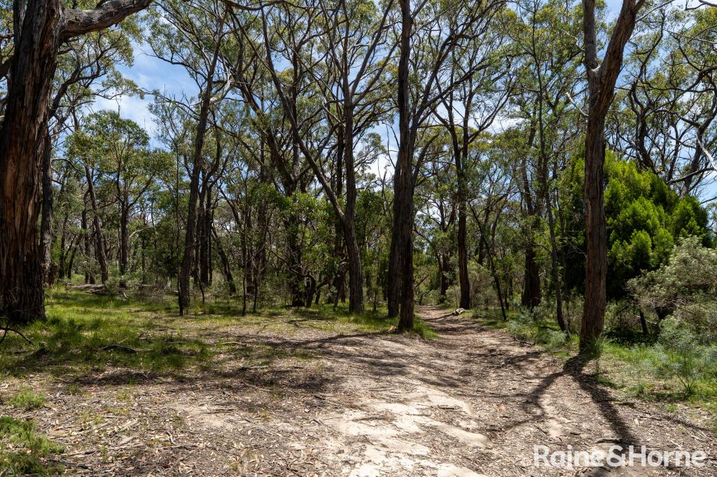 LOT 112 PRINCE ALFRED ST, RIDDELLS CREEK, VIC 3431