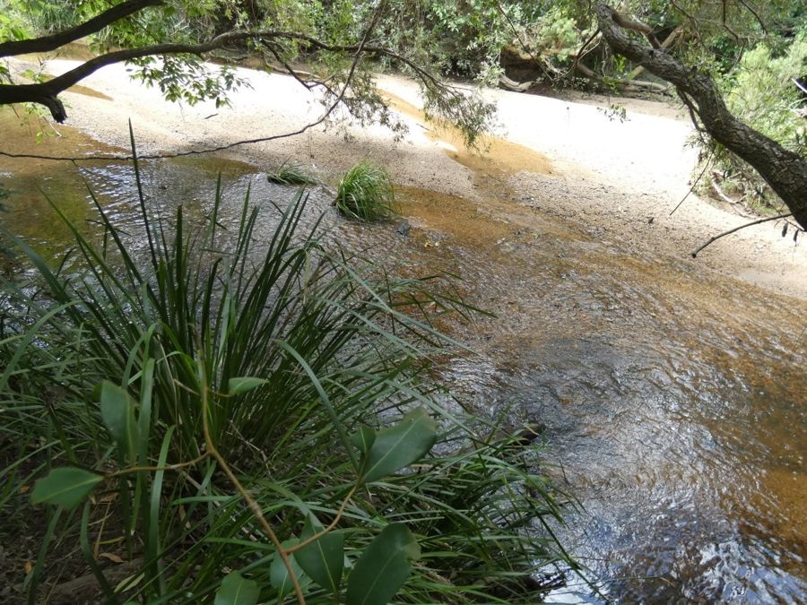 397 Mollenhagens Rd, Rosedale, QLD 4674